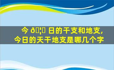 今 🦈 日的干支和地支,今日的天干地支是哪几个字